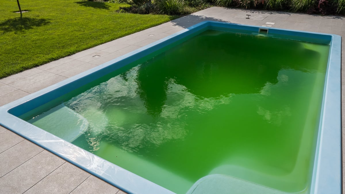 Green algae-bloomed water in a residential backyard pool after a chemical imbalance
