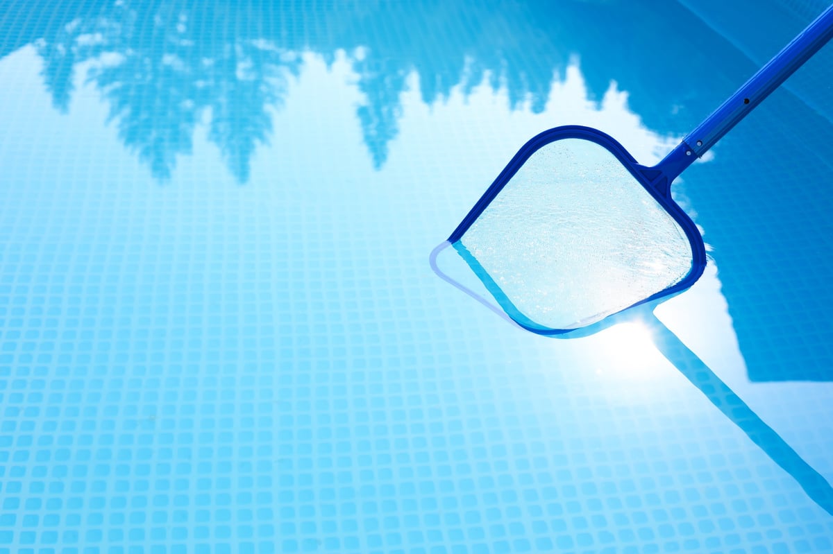 Skimmer net removing leaves and debris from the surface of a residential pool
