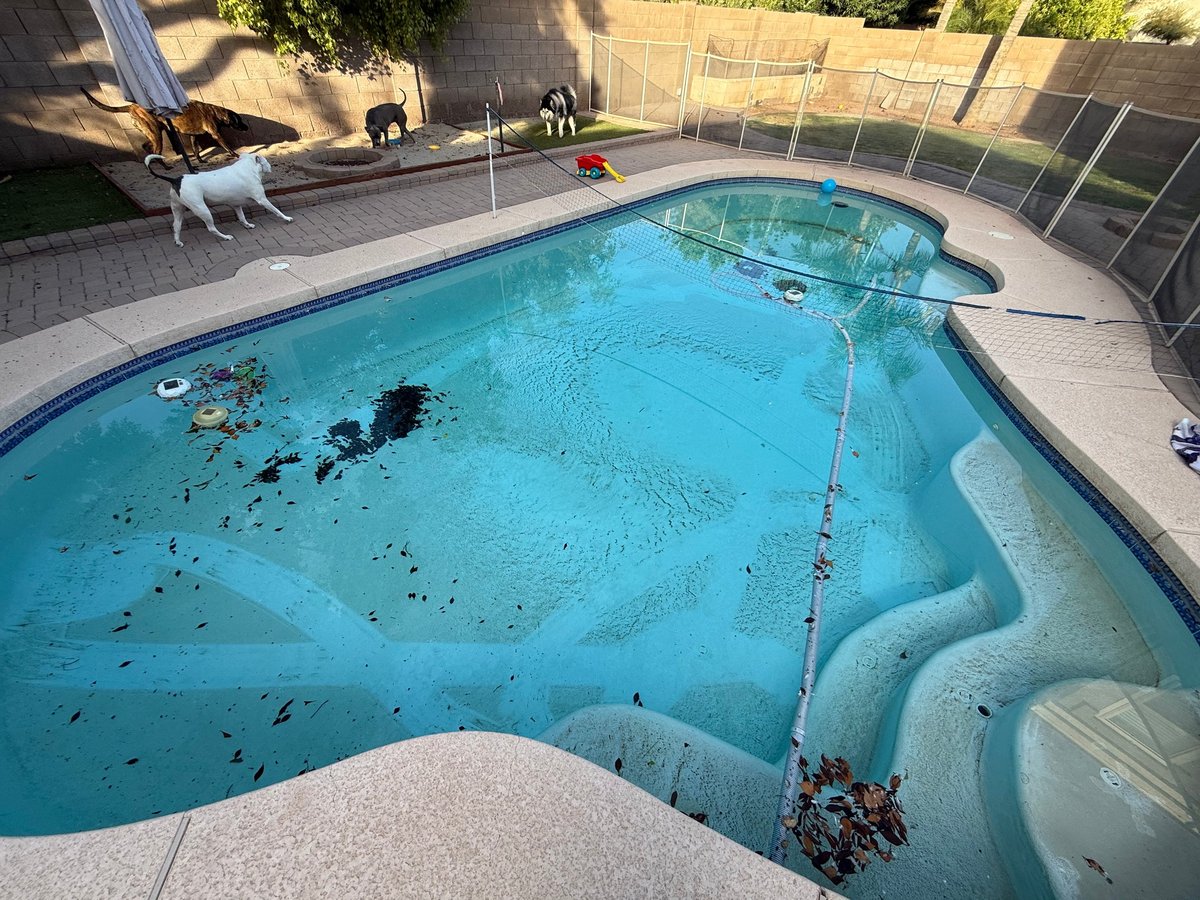 Aerial view of a residential swimming pool with debris and algae, surrounded by gray pavement, fencing, and a white lounge chair